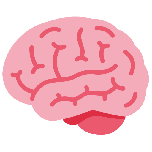 brain